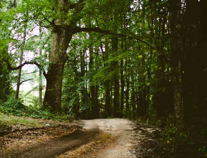 如何购买保障的网络攻击软件