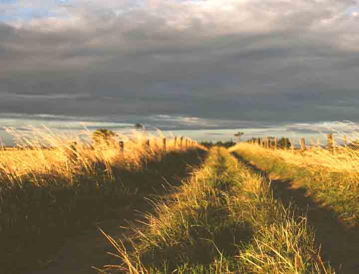 ddos在线压力测试平台