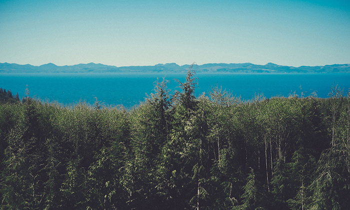 数据同步及时的ddos服务器攻击手段