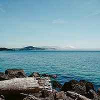 软件市场安全的DDOS攻击器